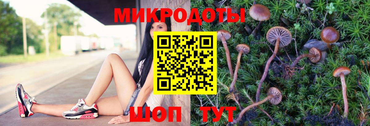 Галлюциногенные грибы прущие грибы Ишимбай