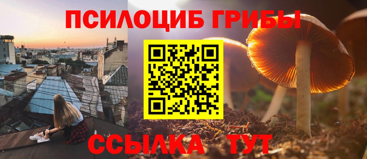 Галлюциногенные грибы Cubensis  Вход с VPN  Ишимбай 